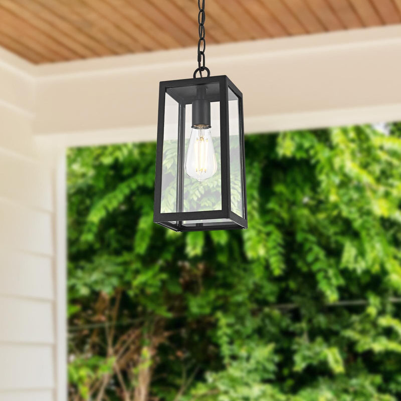 Veda Outdoor Lantern Pendant in Black And Clear