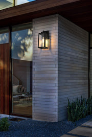 Veda Outdoor Wall Lantern in Black And Clear