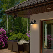 Tinsley 10" Outdoor Wall Sconce in Black And Clear
