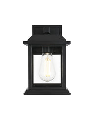 Araceli 10" Outdoor Wall Lantern in Black And Clear