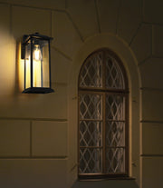 Araceli 17" Outdoor Wall Lantern in Black And Clear