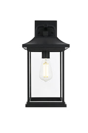Saul 16" Outdoor Wall Lantern in Black And Clear