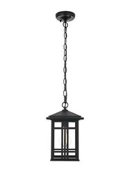 Harley Outdoor Lantern Pendant in Black And Clear