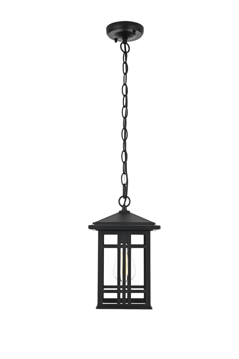 Harley Outdoor Lantern Pendant in Black And Clear