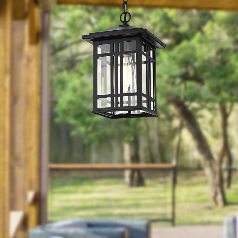 Harley Outdoor Lantern Pendant in Black And Clear
