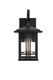 Harley 12" Outdoor Wall Lantern in Black And Clear