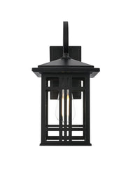 Harley 15" Outdoor Wall Lantern in Black And Clear
