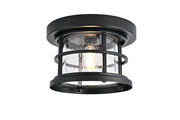 Carla 8" Outdoor Flush Mount in Black And Clear