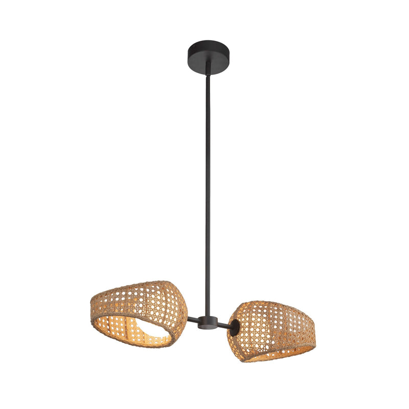 Lanai 2-Head Linear Pendant in Black/Opal Glass
