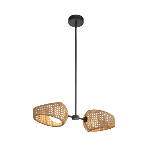 Lanai 2-Head Linear Pendant in Black/Opal Glass
