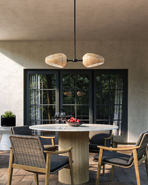 Lanai 2-Head Linear Pendant in Black/Opal Glass