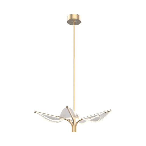 Flora 31" 5-Head Pendant in Natural Brass