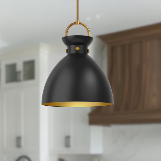 Waldo 18" Metal Shade Pendant in Aged Gold/Matte Black