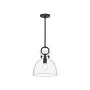 Waldo 11" Glass Shade Pendant in Matte Black/Clear Glass