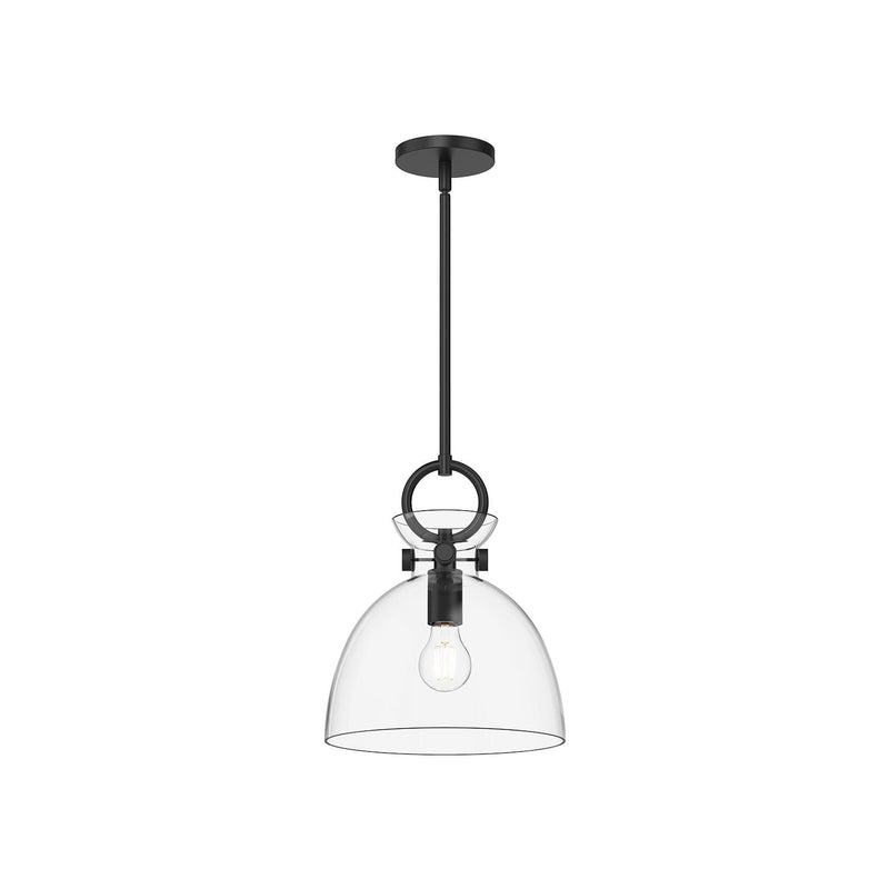 Waldo 11" Glass Shade Pendant in Matte Black/Clear Glass