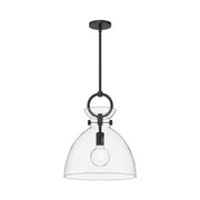 Waldo 14" Glass Shade Pendant in Matte Black/Clear Glass