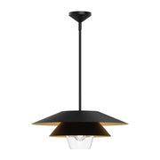 Tetsu 20" Pendant in Matte Black/Clear Glass