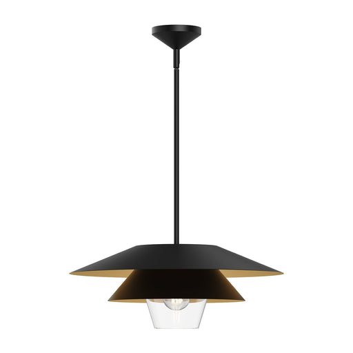 Tetsu 20" Pendant in Matte Black/Clear Glass