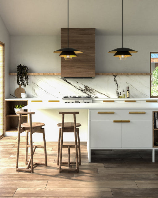 Tetsu 20" Pendant in Matte Black/Clear Glass