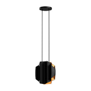 Akira 14" 2-Light Pendant in Black/Gold