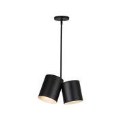 Keiko 14" 2-Light Pendant in Black
