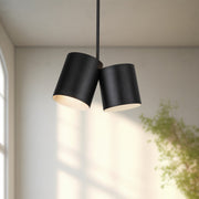 Keiko 14" 2-Light Pendant in Black