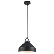 Lowen 1-Light 12" Dome Pendant in Black