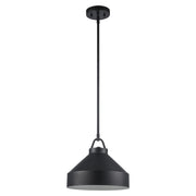 Lowen 1-Light 12" Dome Pendant in Black