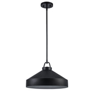 Lowen 1-Light 15.75" Pendant in Black
