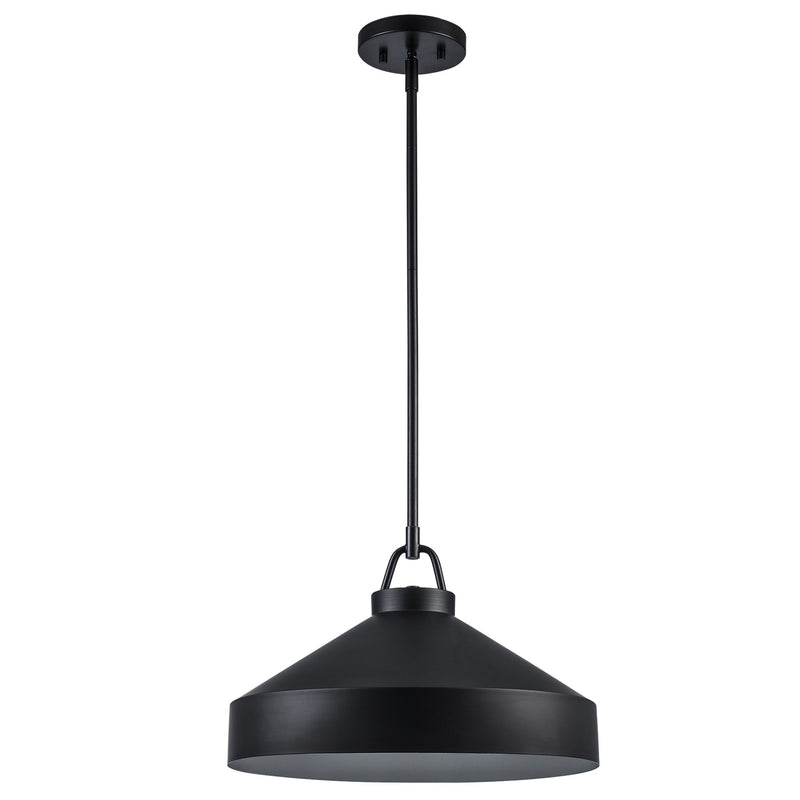 Lowen 1-Light 15.75" Pendant in Black