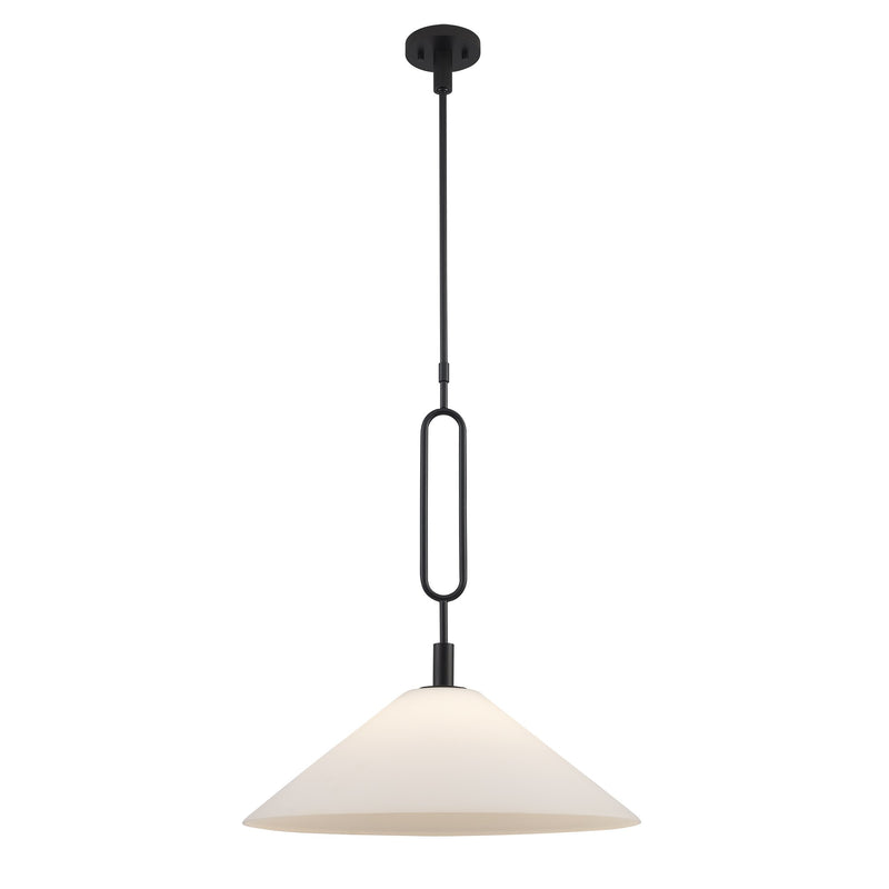 Lumidrop 1-Light 21" Pendant in Black