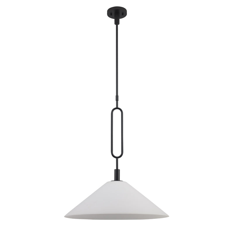 Lumidrop 1-Light 21" Pendant in Black