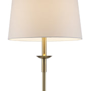 Ryn 63" Bowl Floor Lamp in Antique Gold