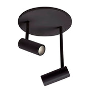 Downey 1" 2-Head Semi-Flush Mount in Black