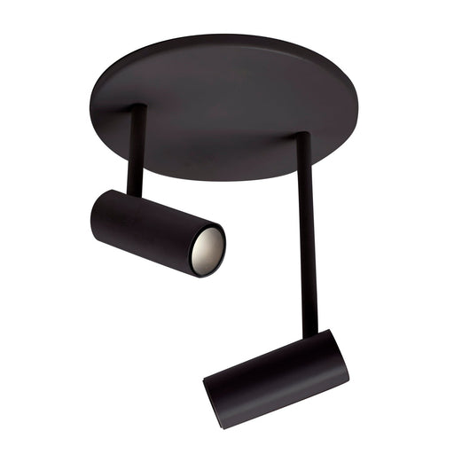 Downey 1" 2-Head Semi-Flush Mount in Black