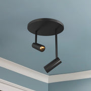 Downey 1" 2-Head Semi-Flush Mount in Black