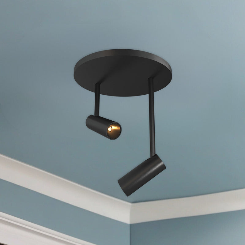 Downey 1" 2-Head Semi-Flush Mount in Black