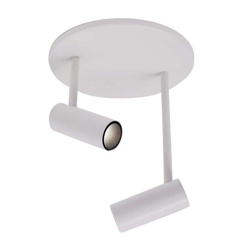 Downey 1" 2-Head Semi-Flush Mount in White