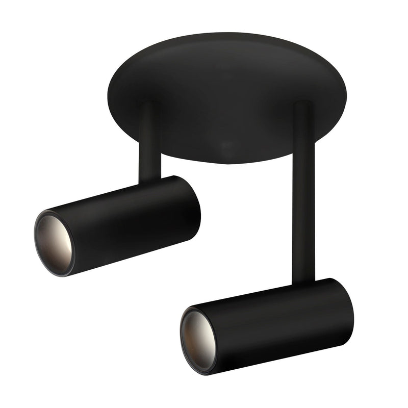 Downey 2" 2-Head Semi-Flush Mount, 4.4" Diameter in Black