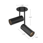 Downey 2" 2-Head Semi-Flush Mount, 2.4" Diameter in Black