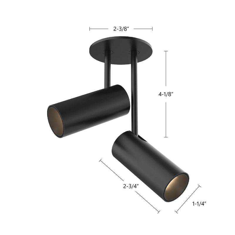 Downey 2" 2-Head Semi-Flush Mount, 2.4" Diameter in Black