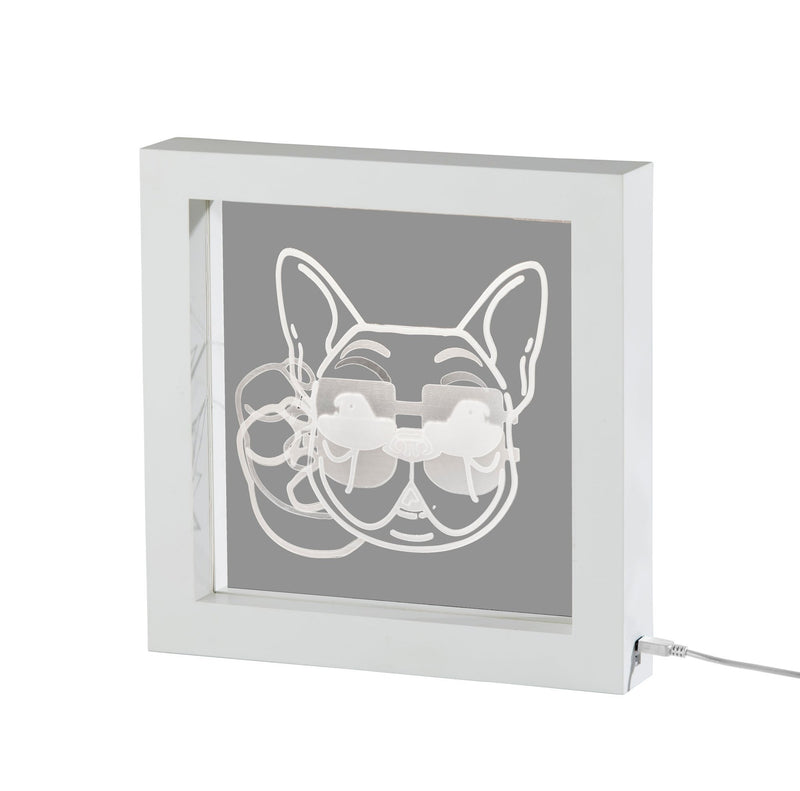 Cool Dog LED Light Box in White