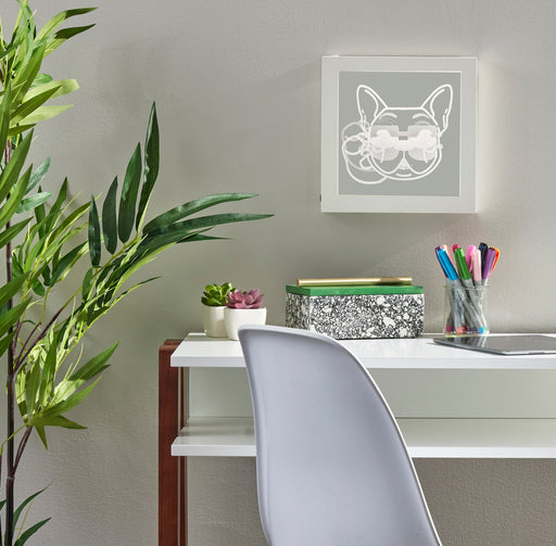 Cool Dog LED Light Box in White