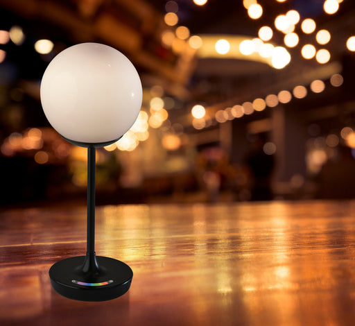 Millie LED Cordless Table Lamp in Black
