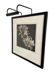 Slim-Line 6" Plug-In Picture Light in Black