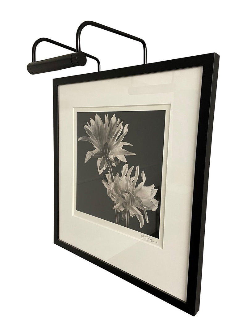 Slim-Line 6" Plug-In Picture Light in Black