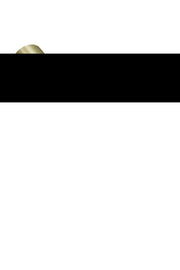 Classic Traditional 14" Plug-In Picture Light in Satin Brass