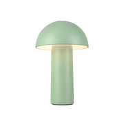 Setas 10" Cordless Table Lamp in Sage Green