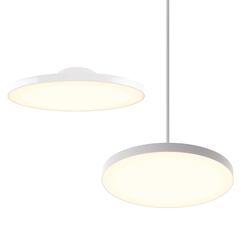 Fusion 21" Convertible Pendant / Flush Mount in White