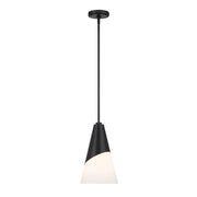 Tori 1 Light 9" Pendant in Matte Black